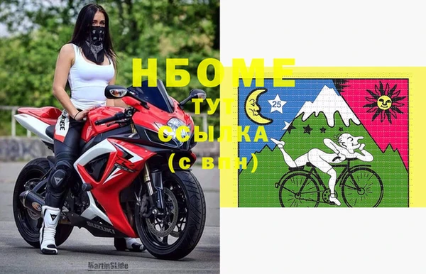 стафф Дедовск