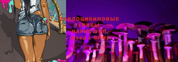 гидра Пролетарск
