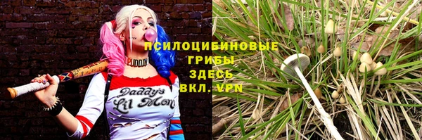 стафф Дедовск