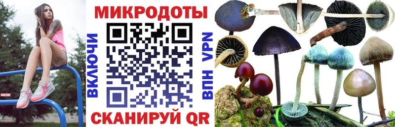 Галлюциногенные грибы ЛСД  где купить наркотик  Туринск 