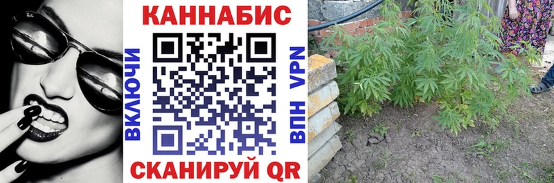 Шишки марихуана OG Kush  кракен вход  Туринск 